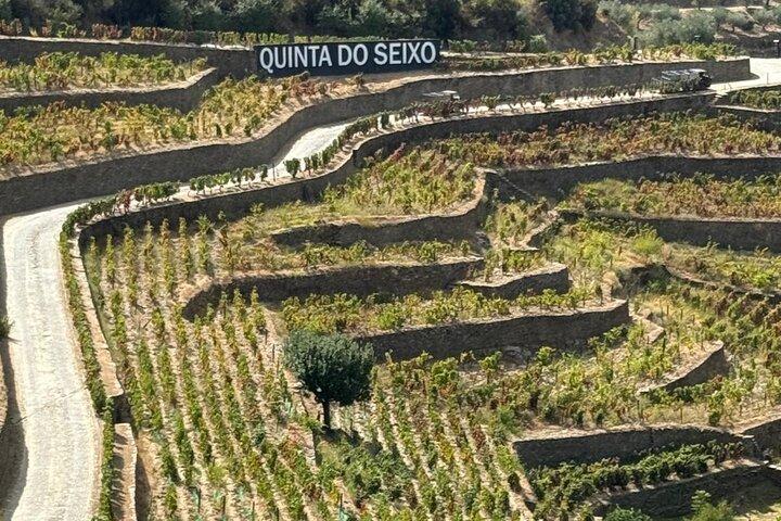 From Lisbon: Private Douro Valley UNESCO Tour region of Port Wive