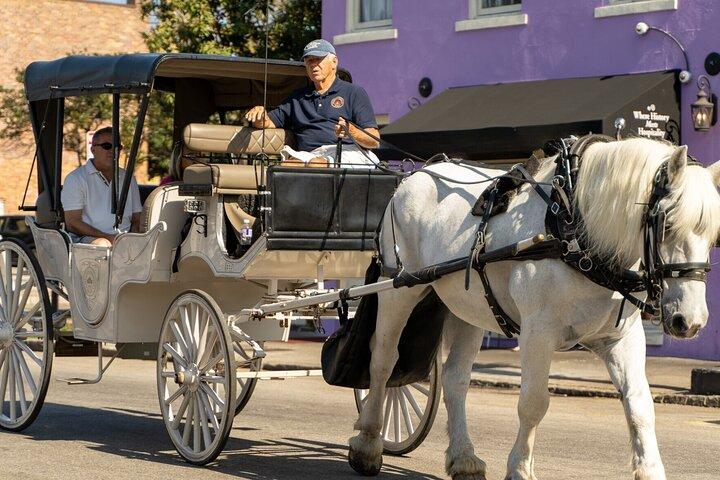 Private Evening Carriage Tour Charleston - Palmetto Carriage