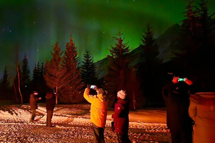 Northern Lights Tour, Tromso, Local Guide, Private Basecamp
