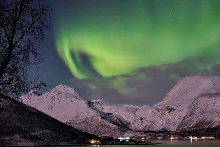 Northern Lights Tour, Tromso, Local Guide, Private Basecamp