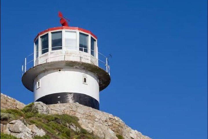 Half Day Penguins, Cape Point & Muizenberg Beach Group Tour