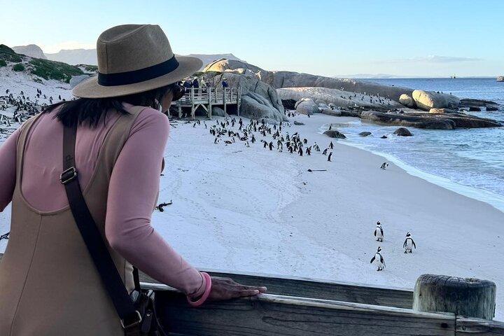 Half Day Penguins, Cape Point & Muizenberg Beach Group Tour