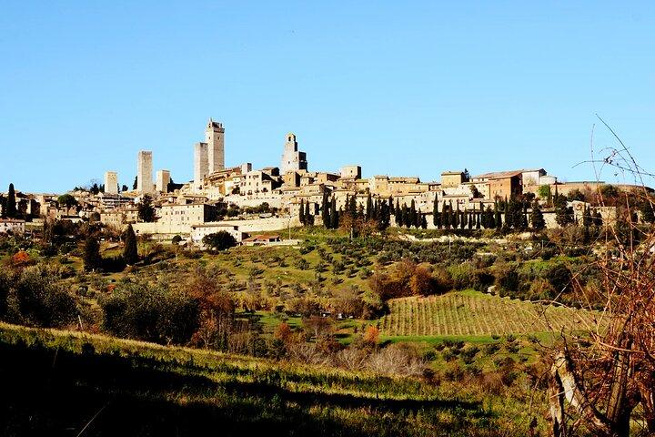 Tuscan Wine & Bruschetta Tasting for Families in San Gimignano