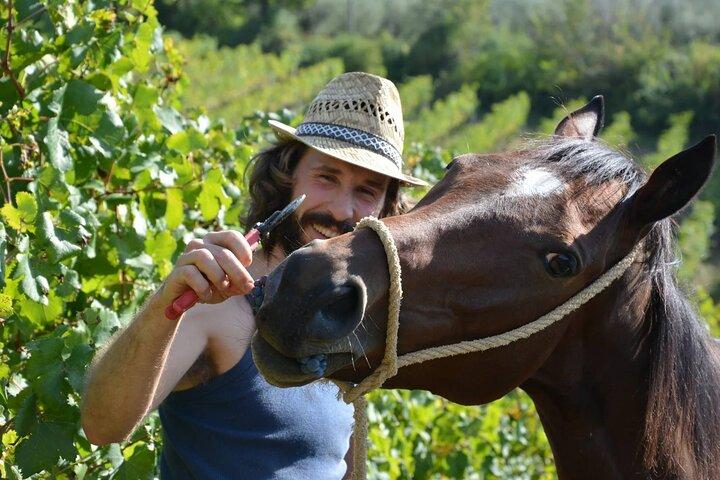 Tuscan Wine & Bruschetta Tasting for Families in San Gimignano
