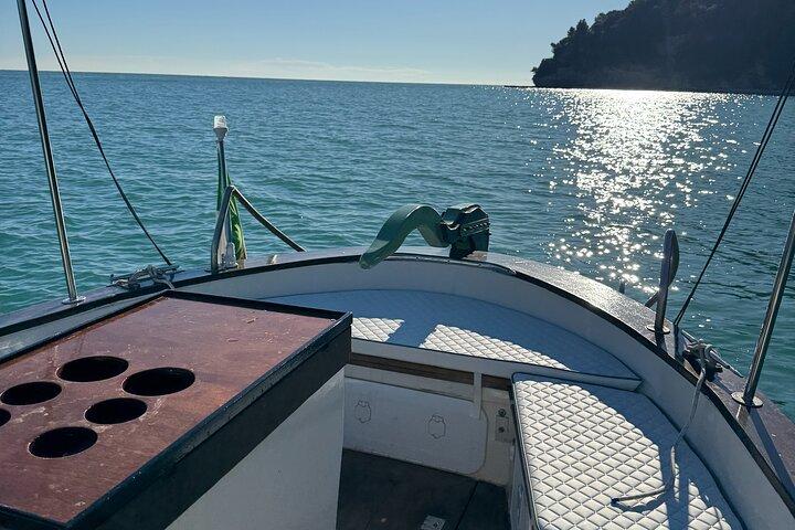 Shared boat tour of the Cinque Terre