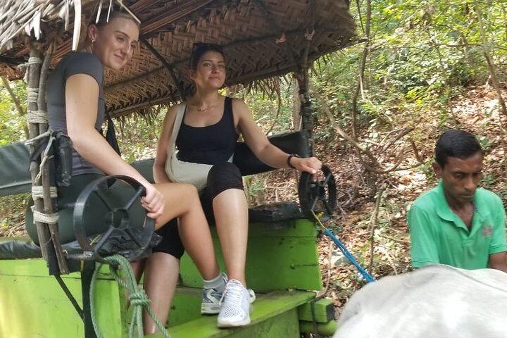 Explore Wonders of Sri Lanka 7 Days Private Tour