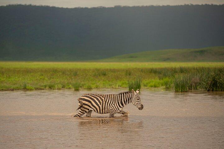 6 Days Private Budget Camping Tour