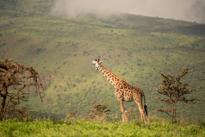 6 Days Private Budget Camping Tour
