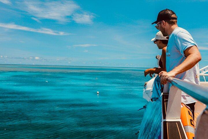 Half Day Great Barrier Reef Snorkeling Tour