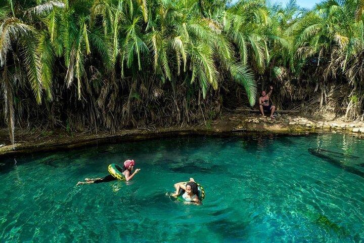 Materuni Waterfalls and Chemka HotSpring Private Tour