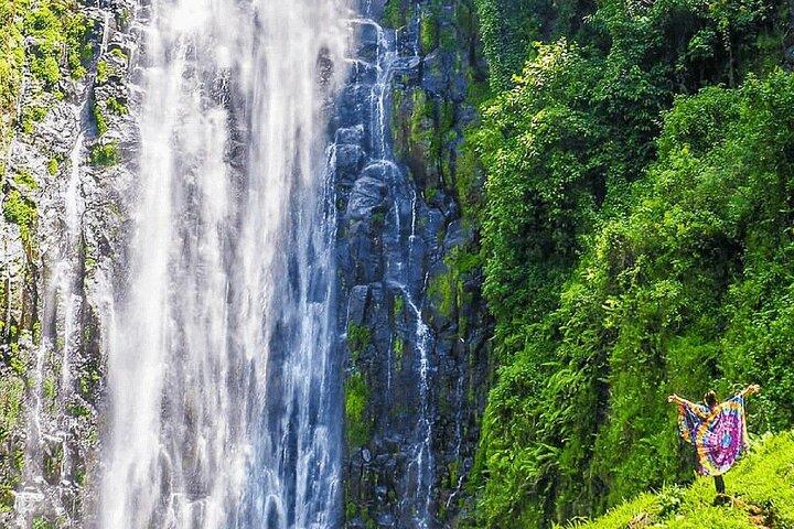 Materuni Waterfalls and Chemka HotSpring Private Tour