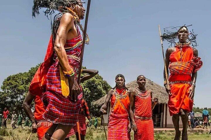 Nairobi National Park, Giraffe Center &Bomas cultural dances