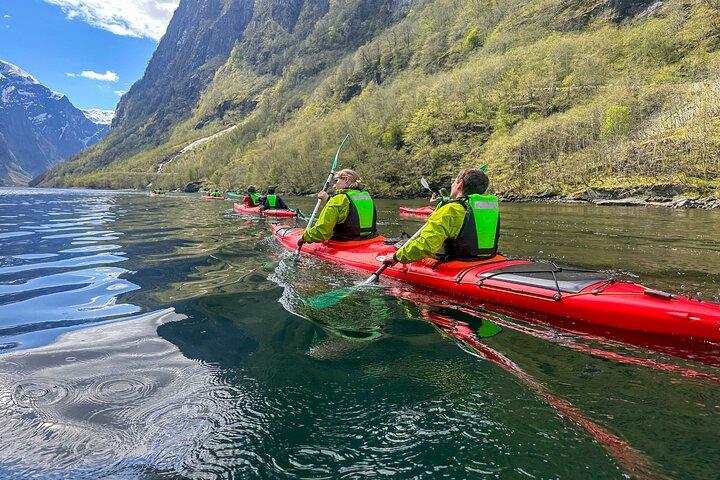 Vossevangen: Nærøyfjord Full-Day Guided Kayaking Trip