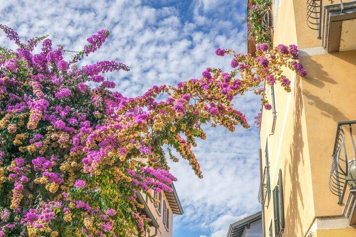 Private Day Trip to Sirmione from Venice