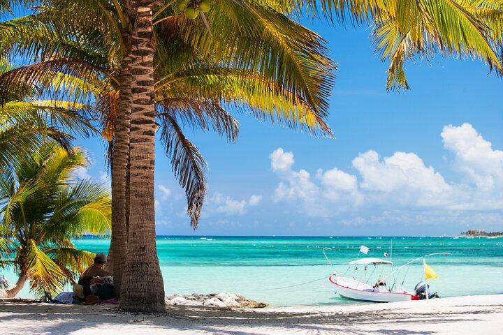 Cancun: Sea turtles and Cenote Tour With Pick Up from your Hotel