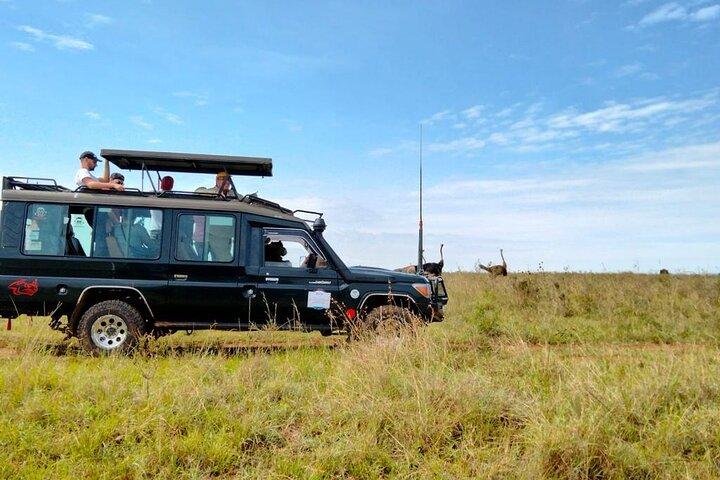 Nairobi National park private day tour
