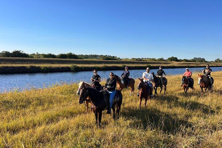 Horse Riding in Miami's Countryside