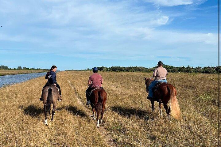 Horse Riding in Miami's Countryside