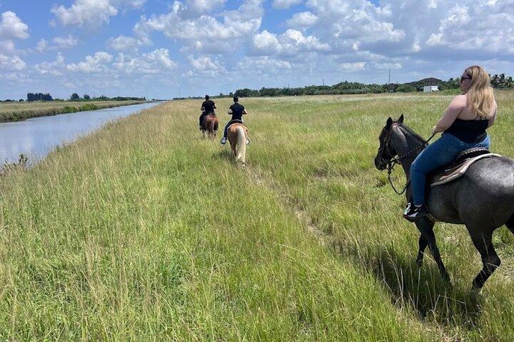 Horse Riding in Miami's Countryside
