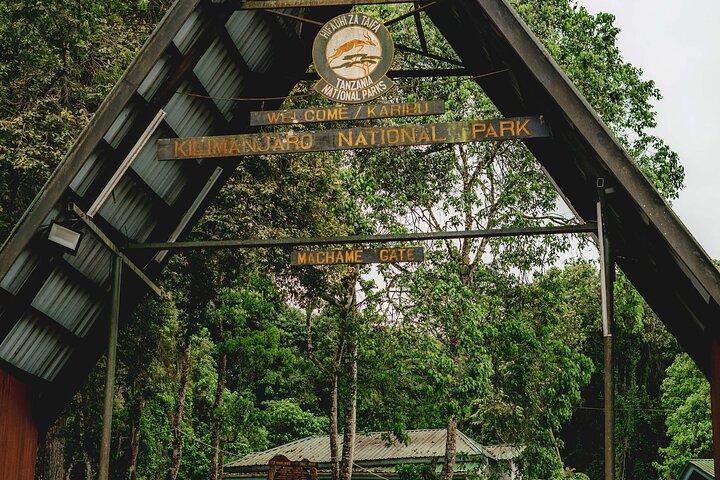 MT Kilimanjaro Day Trip VIA Machame Route