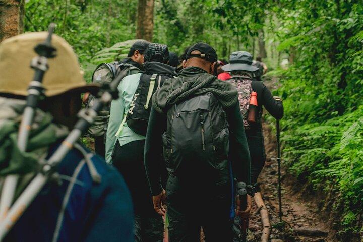 MT Kilimanjaro Day Trip VIA Machame Route