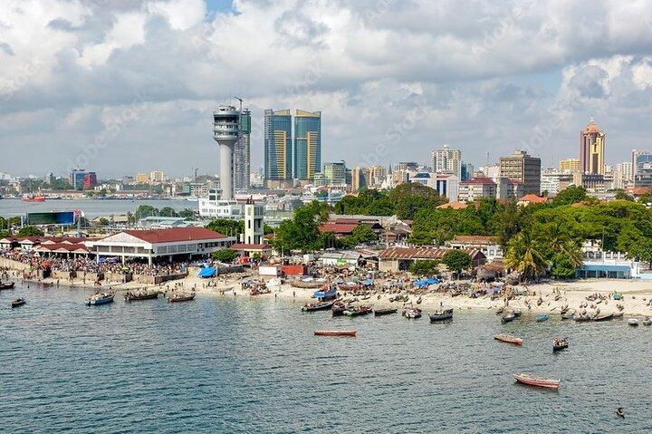 Dar es salaam Private City Tour with Professional Guide