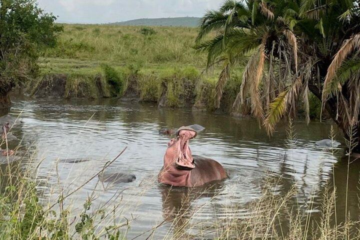 5-Day Private Safari in Northern Tanzania, Departure from Arusha