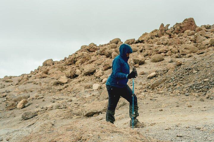 7 Days MT Kilimanjaro Private Hiking VIA Machame Route
