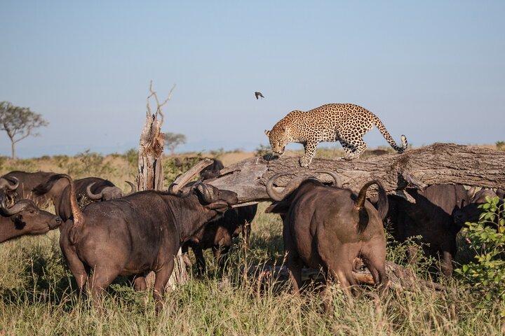 Arusha Lake Manyara Private 5-Day Tour