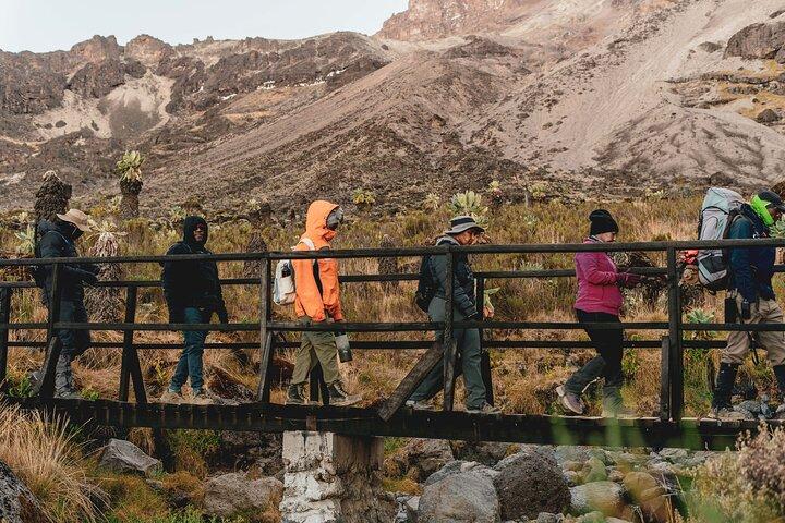 7 Days MT Kilimanjaro Private Hiking VIA Machame Route