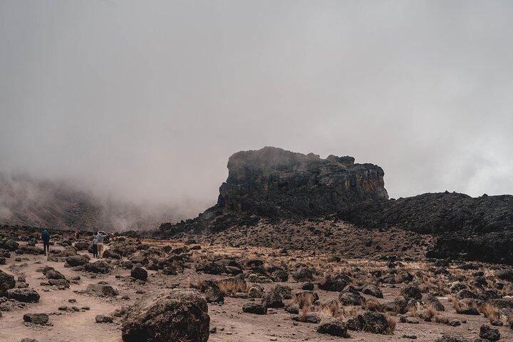 8 Days MT Kilimanjaro Private Hiking VIA Lemosho Route