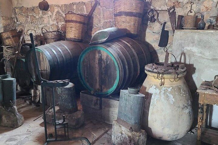 Kefalonian Robola Wine Harvest Experience