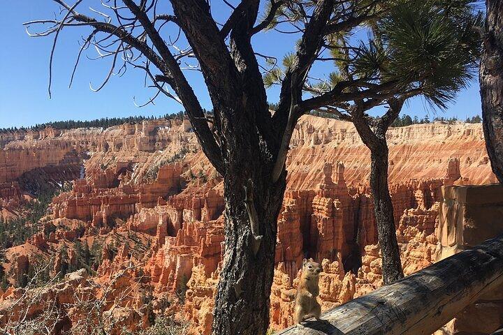 Bryce Canyon Private Tour
