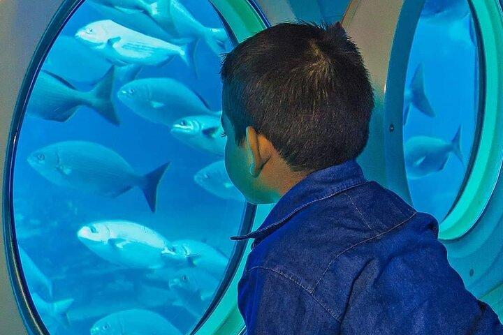 Cozumel Submarine Tour from Cancun or Playa del Carmen