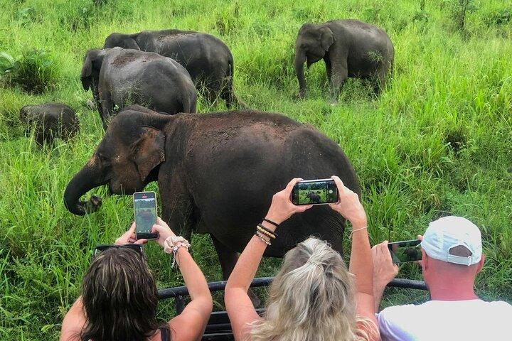 Sigiriya Rock Climb, Village Tour+Cooking Class & Elephant Safari