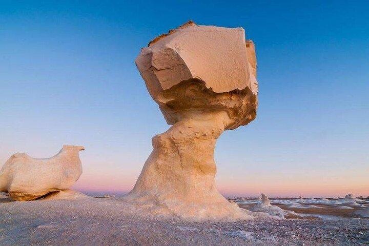 White Desert and Bahariya Oasis tour from Cairo