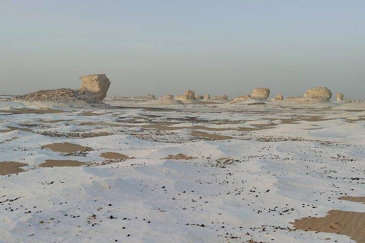 White Desert and Bahariya Oasis tour from Cairo