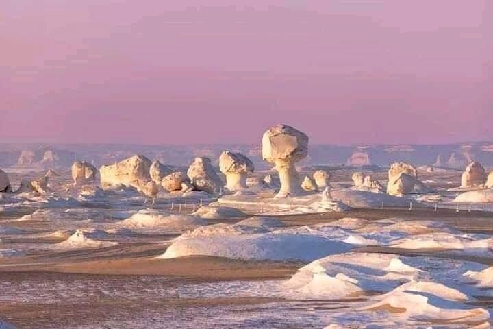 White Desert and Bahariya Oasis tour from Cairo