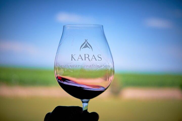 Vineyard Tour and Fine Wine Tasting Experience in Ararat Valley