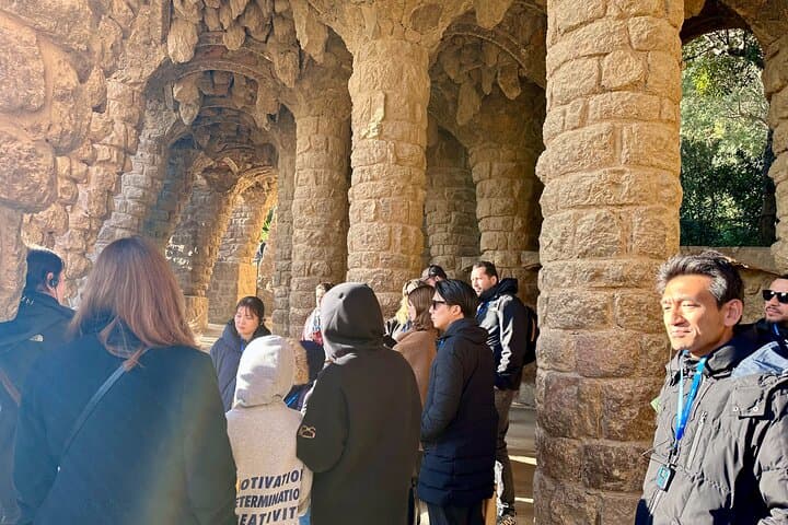 Park Guell Private Guided Tour With a Five Stars Tour Guide