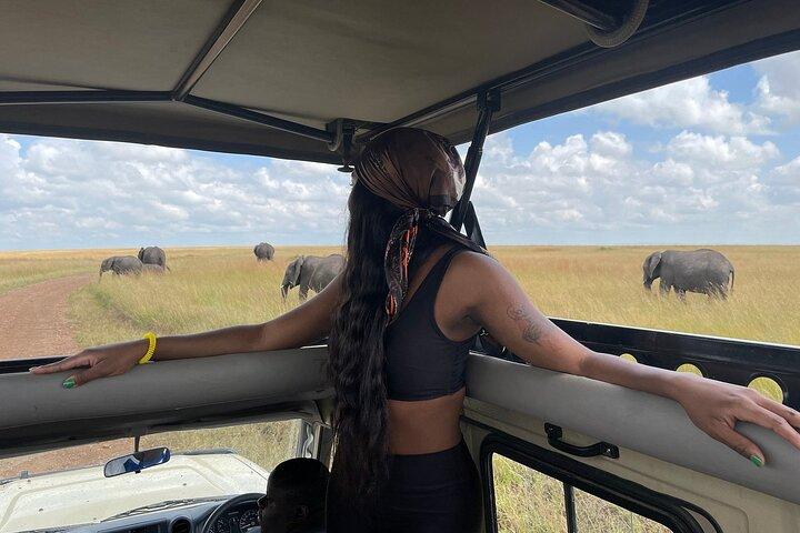 Day Trip to Amboseli National Park and Masai Village from Nairobi