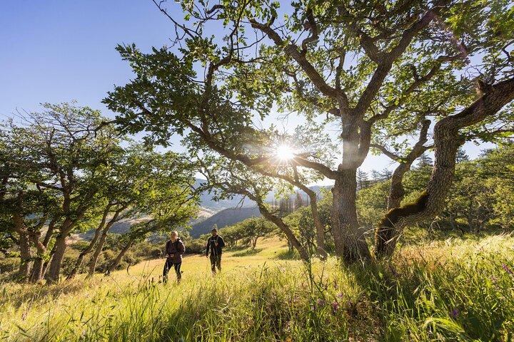 Walking Safari, Canoe & Game Drive – Arusha National Park