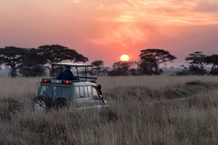 Arusha: 5 Day - Tarangire, Serengeti, Ngorongoro Big five Safari