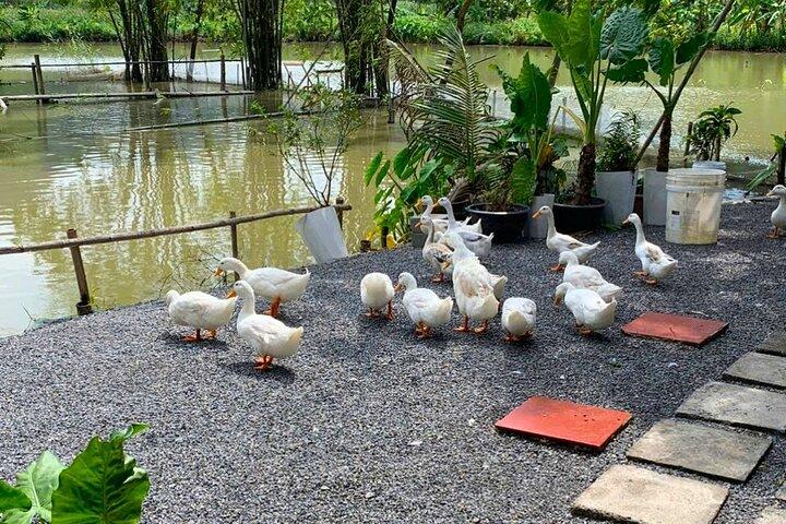 From Hanoi: Scenic Ninh Binh Motorbike Tour to Hidden Treasures