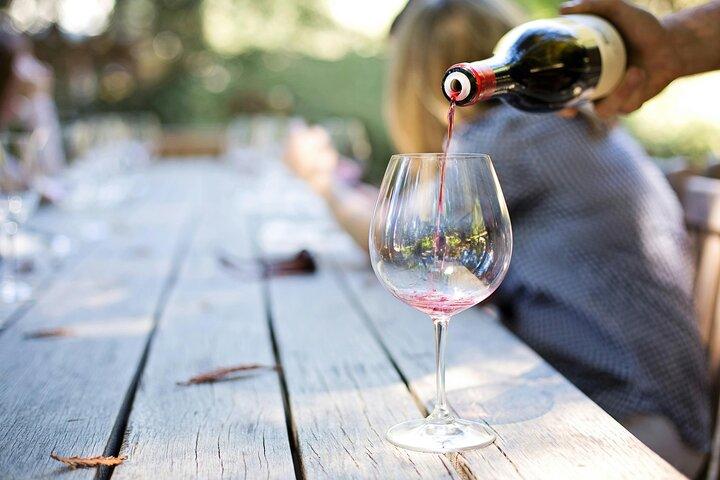 Kefalonian Robola Wine Harvest Experience