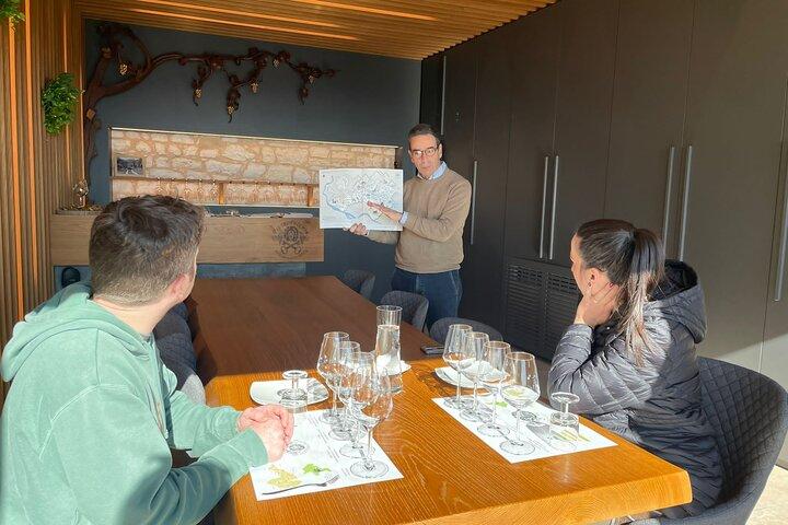Amarone & Soave Wine Tour - Visit Verona, from Venice, Treviso