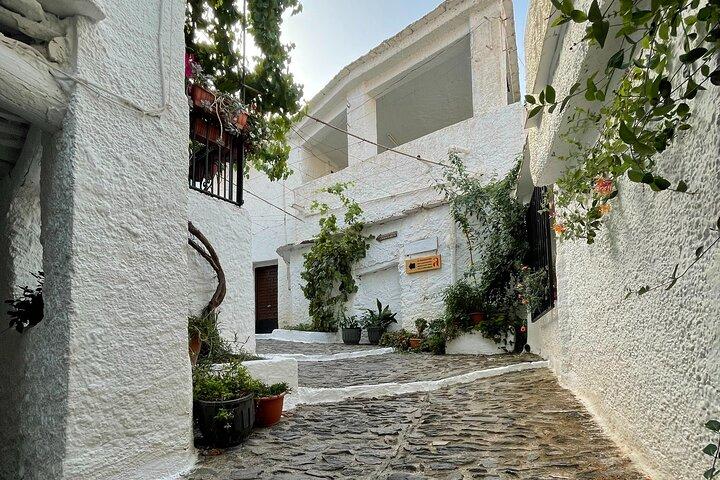 Private Alpujarras Tour from Granada with Hiking