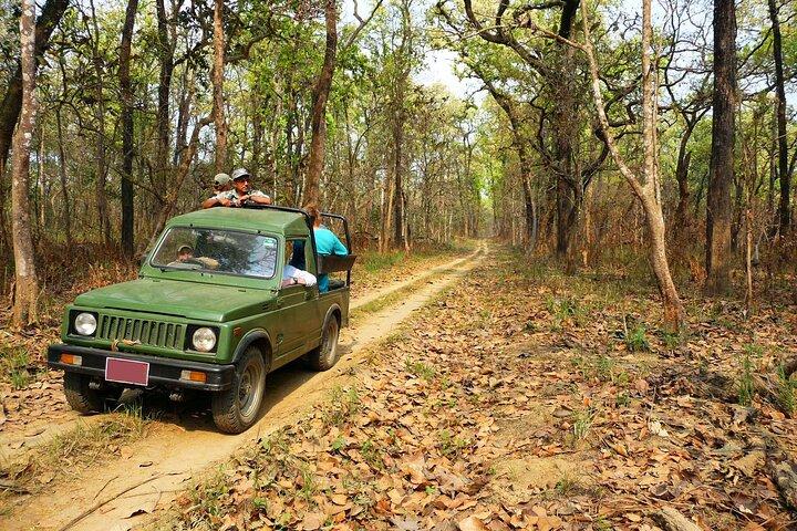 Chitwan Jungle Safari 2/3/4 Day Tour from Kathmandu/Pokhara