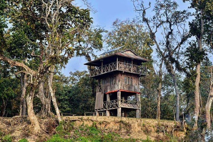 Chitwan Jungle Safari 2/3/4 Day Tour from Kathmandu/Pokhara