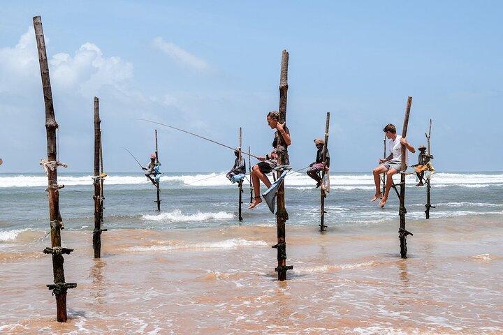 Southern Sri Lanka Day tour from Hambantota